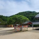 순천-59호 | 전남 순천 송광사