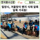 용두교 입구 이미지