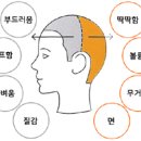 디자인밸런스