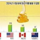 [축산신문] 연간 벌꿀 수입량, 벌써 역대 최대치 경신 이미지