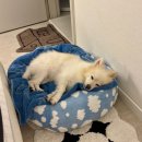 법원로4길 31 | 10월 마지막 주 일상❤️