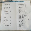 대전 도안동 브런치 플라워 카페 그라운드 후기 도안 신상 카페 추천