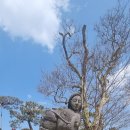 청하조경