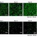 주식회사 엘앤씨바이오 이미지