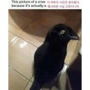 끄적끄적 이미지