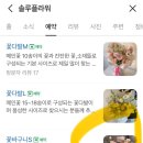 솔루플라워 이미지