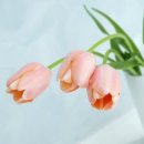 왕초보 일본어회화 이미지