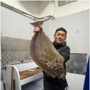 신선횟집 2호점 - 337874 | 거제에서 신선한 자연산 회를 제대로 즐기고 싶다면 해림호횟집 2호점 방문 후기