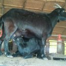 홍길동 농장 이미지