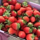 꿈꾸는 요리교실 이미지