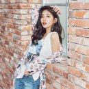 수지 이미지