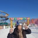 월드허브 | 하이원 마운틴허브 스노우월드 카페테리아 내돈내산 후기