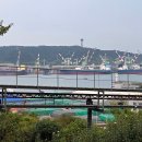 장생포야구장(평일) 이미지