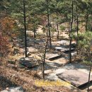 금전산 일원 이미지