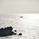 중문대포주상절리대 이미지