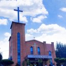 🌺교회부흥과 간증의 함수관계 이미지