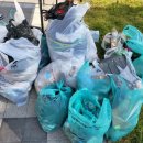 충효태권도(한들물빛관) 이미지