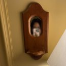 무비무드 - Have a good tape, Dave (헤브 어 굿 테이프, 데이브) : 메모리컴퍼니 외전! 카페에서...