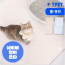 장보는강아지와고양이신미진 | 신생아와 고양이 같이 키워도 될까? 털·알레르기·분리 기준 정리