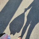 성림상회 이미지