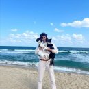 내새끼 펫 이미지