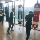 호룡 복싱클럽 이미지