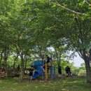 진로목장 이미지