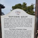 제주금산민박 | 제주도여행 제주올레길 20코스