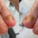 레푸스강남세곡점 이미지