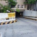 춘천카페 스톤플랜트&amp;미스터힐링석사점 힐링 춘천데이트코스로 추천!