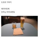 인천공항 입국 면세점에서 로얄살루트 2002(feat. 26년 5월 도쿄 여행)