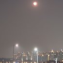 성학세탁소 네이버블로그