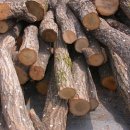 철수농장 이미지