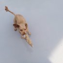 박순호의 아이슬란드 이미지