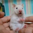 이** 이미지