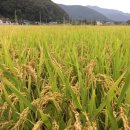 미산정미소 이미지