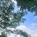 모퉁이집 이미지