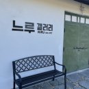 강진미술관 | [강진] 고즈넉한 숙소 옆 미술관 옆 카페, 느루갤러리앤카페