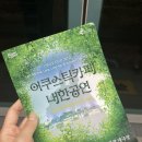어쿠스틱 | [부산] 부산 가볼만한 곳 스튜디오 지브리 ost 어쿠스틱카페 내한공연 관람 후기