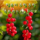 🌱봄의 마지막 절기 곡우 (穀雨)날! 자연이 당신께 전하는 말 🌱 이미지