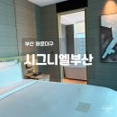 더블에잇짐 | 시그니엘부산 프리미어더블 시티뷰 객실 상세 후기