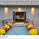 매그네이트 이미지