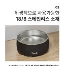 우드펫 | 강아지 물그릇 추천 수웰 펫보울 티크우드 디자인 몇 년 사용 후기