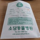 소담동물병원 이미지