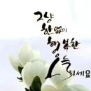 옥토상사 Daum카페