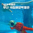 부산 아이랑 실내 체험 영도 국립해양박물관