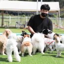 익산애견테마파크 네이버블로그