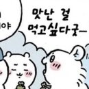 카피잇주 | 날음식 조심하시고 元気でいてね