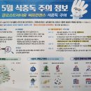 5월 식중독 이미지