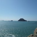 몰운대농장 이미지